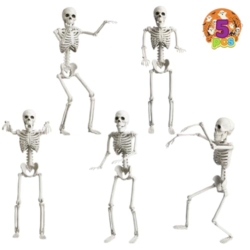 16" Poseable Small Skeleton for Halloween: Sturdy Joints Hold Pose Firmly