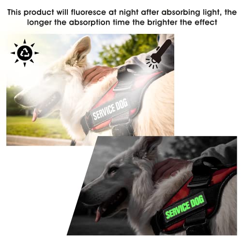 Molain 6 Stück/Set Reflektierende Hundewesten Patches Abnehmbare Hundegeschirr Patches mit Haken Custom Name Patch - Service Dog In Training Therapie Do Not Pet