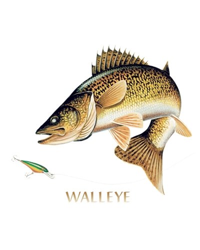 Express Yourself Walleye Combination (Black) - Door and Welcome Mat