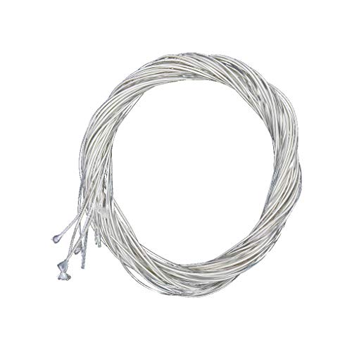 PRENKIN 6 Stks/set Gitaar Snaren Nylon Verzilverd Kit Super Licht voor Akoestische Gitaar Muziekinstrumenten Deel, 0102