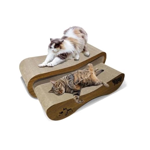 2 in 1 Cat Scratcher Lounge for Happy Cats