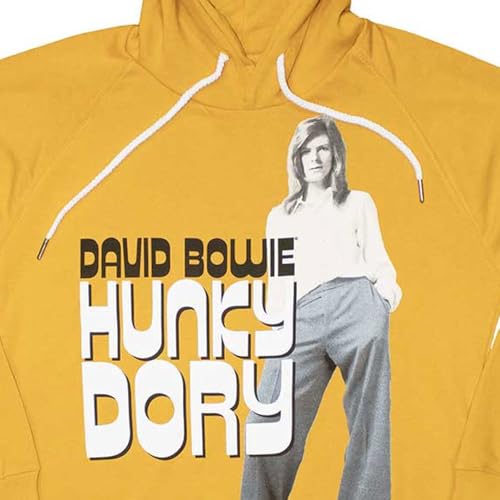 Pull David Bowie Hunky Dory sweat-shirt chaud pour éviter le froid avec style - 2