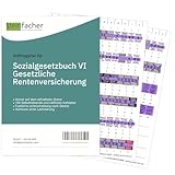 Steinfacher Griffregister für SOZIALGESETZBUCH (SGB) VI – Gesetzliche Rentenversicherung (ohne Folien)