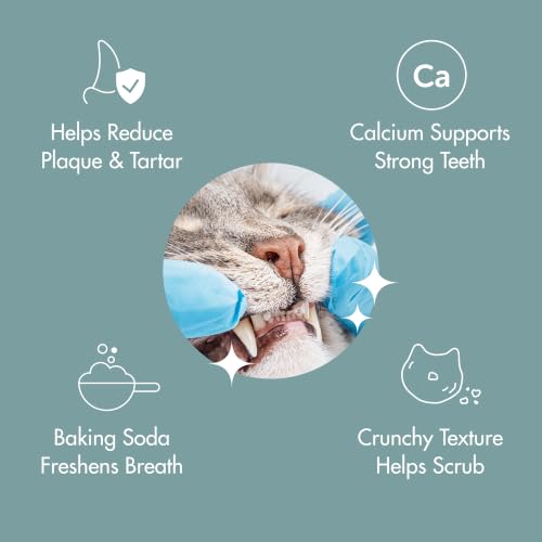 Arm & Hammer Kitty Crispies Dental Cat Treats, Chicken Flavor, 10 Oz - image 3