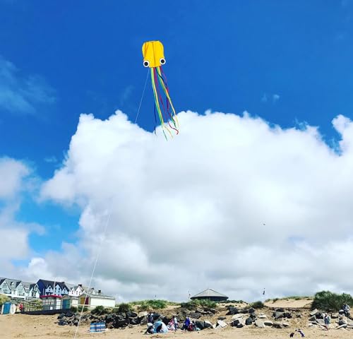 Flying Hoofer Large Octopus Kites(4packs) for Kids and Adults - Easy to Fly, 28X158 3D Software Colorful Kite with Long Tails. Perfect for Beach and Outdoor Activities (Pink&Green&Blue&Yellow).