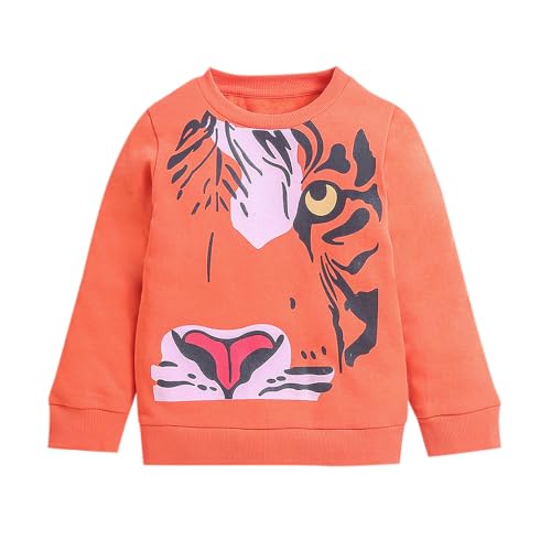 Image of Hopscotch Boys Cotton Round Neck Sweatshirts