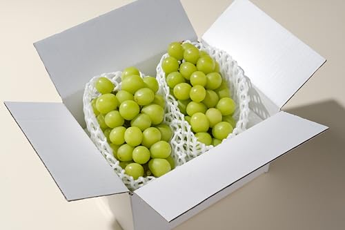 甲州市産 シャインマスカット 2房入(約1.1kg)自然農法[2026年9月上旬〜10月中旬頃、順次お届け予定](BNC)B18-426