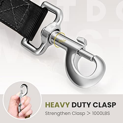 Outdoormaster Bungee Dog Leash, Improved Dog Safety & Comfort (Black) #TOP1