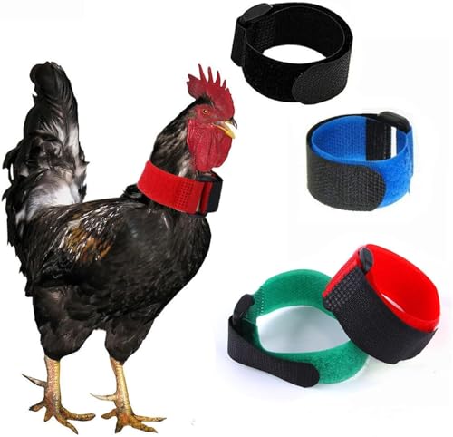 Image of 2pcs Rooster Anti-Hook Noise-Free Nylon Collar, Black, 10 inches