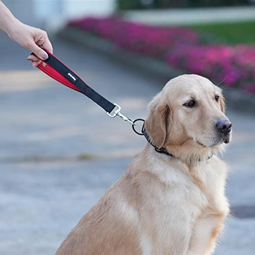 PETTOM Short Leash Strong Soft Padded Dog Handle, Easy Control Short Dog Leads for Small/Medium/Large Dogs (Black, M)
