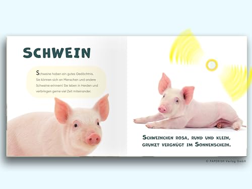 Mach mal PIEPZ® - Tiere auf dem Bauernhof: Entdecke die Welt mit kindgerechten Sounds | Soundbuch für Kinder ab 12 Monaten