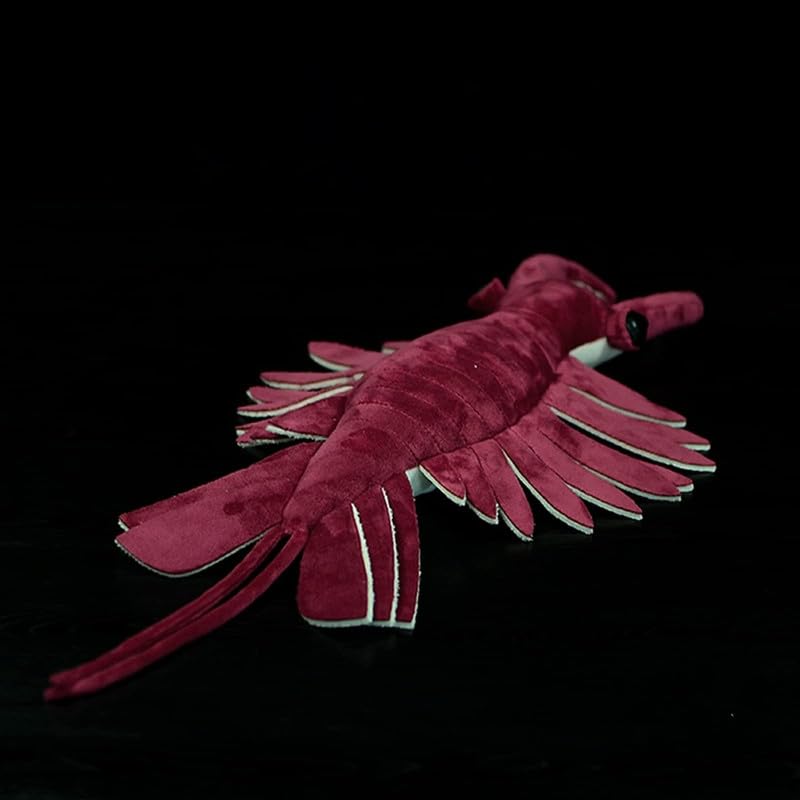 PuffPurrs Realistic Cambrian Ancient Organism Anomalocaris Plush Toy - Image 4
