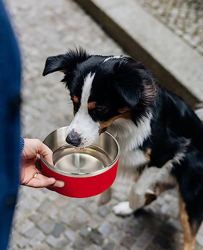 IKITCHEN-Dog-Bowl-for-Food-and-Water-40-Oz-Stainless-Steel-Pet-Feeding-Bowl-Durable-Non-Skid-Double-Wall-Insulated-Heavy-Duty-with-Rubber-Bottom-for-Medium-Large-Dogs-40-Ounces5-Cup-Red IKITCHEN Dog Bowl for Food and Water 40 Oz Stainless Steel Pet Feeding Bowl Durable Non Skid Double Wall Insulated Heavy Duty with Rubber Bottom for Medium Large Dogs 40 Ounces5 Cup Red