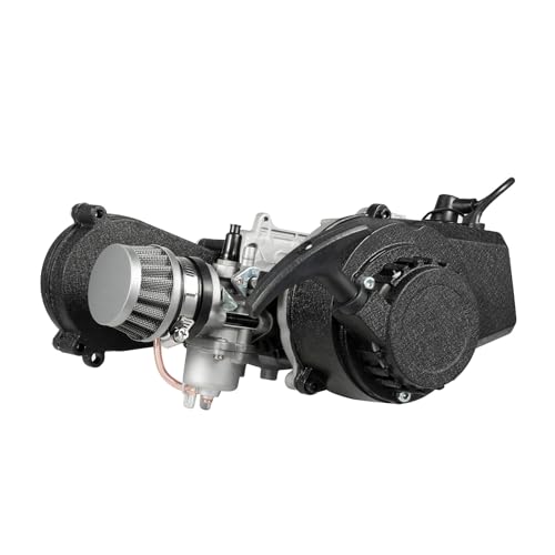 PROYONGOO 49cc Engine, 2 Stroke Go Kart Motor Mini Bike