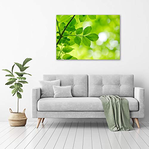 Tableau plexiglas feuilles vertes Tulup, fraîcheur et sérénité