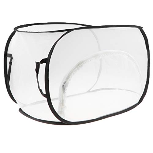 Toygogo Butterfly Habitat, Huge Collapsible Insect Net Terrarium Up