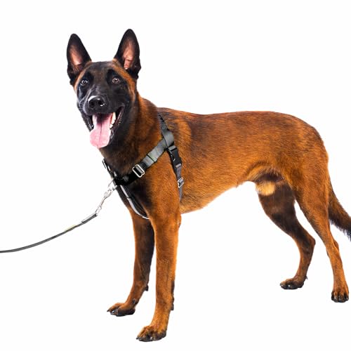 APDEXY Freedom No Pull Dog Harness for Large Dogs, Easy Walker, Front Clip, Anti Pull with Two Stainless D-Rings, Comfortable, Sewn-in Instructions Tags for Easy Use (Black, XXL)