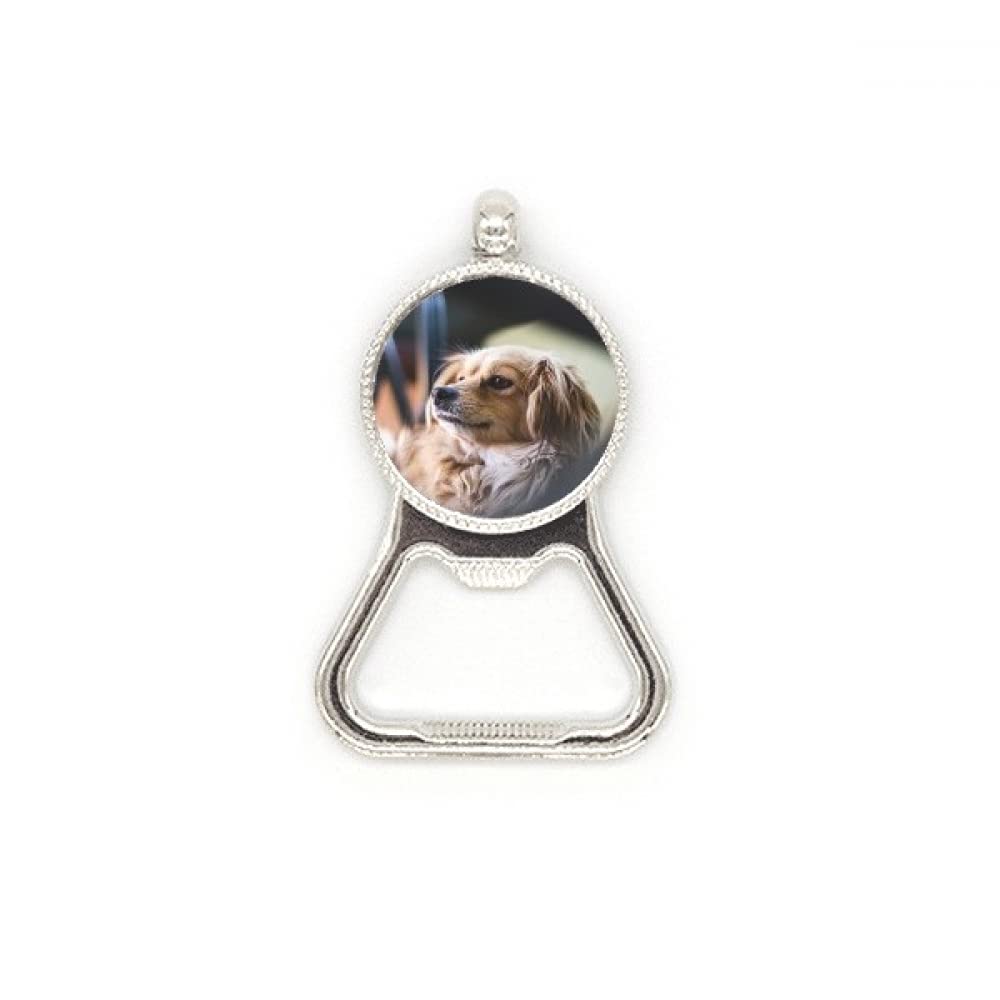 Décapsuleur en acier inoxydable durable avec silhouette de chien en métal