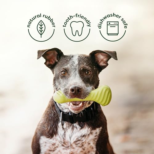 Image of Benebone Bacon Wishbone /Rubber Bone Medium, 2-Pack