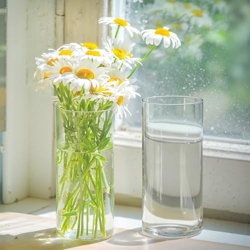 12 Pack Glass Cylinder Vases for Centerpieces 8" Tall Clear Hurricane Flower Vase Bulk for Weddings, Floating Candles, Table Decor, Events, Home Decoration - Image 5