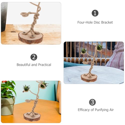 Soporte para plantas de aire accesorio resistente y versátil de mesa 4
