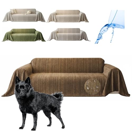 Lifetips XLbp[Li schipperke j \t@[Jo[ k  􂦂 h }`Jo[ 2l| 3l| It IȂ ~ Eh~ LΉ lGʗp iuEj i300180CMj