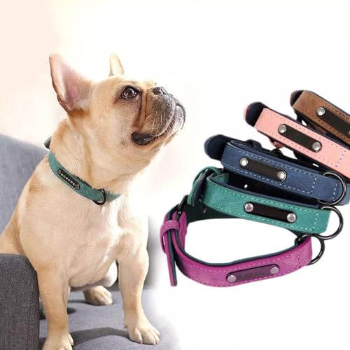 Hundehalsband, personalisierbar, mit Namen und Telefonnummer, verstellbares Welpenhalsband mit Sicherheitsschnalle für kleine, mittelgroße und große Hunde