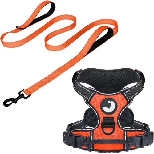 6FT Double Handle Dog Leash for Training and Dog Harness (Chest: 17-34"), Reflective Leashes for Medium Dogs and Adjustable Soft No Pull Harness (Orange,L)