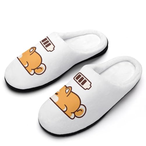 [ZKCASA] Xbp Č [d  [V[Y   qp h  g 􂦂 ~ jp I[V[Yp 11-12i44-45j