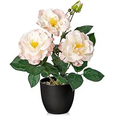 Rose 2 - Pink (11inch)