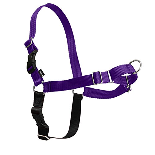 PetSafe Easy Walk No-Pull Dog Harness - Ultimate Harness to Help Stop Pulling - Pull-Free Walks - Take Control & Teach Better Leash Manners - Patented Martingale Loop Design - Deep Purple, Medium by PetSafe - Used condition - US$20.80