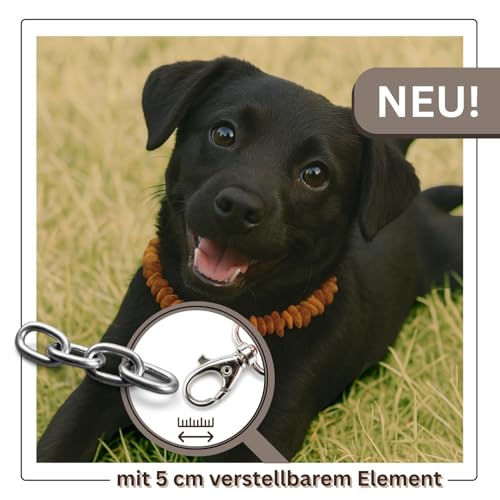 PetLove Bernsteinkette Hund • 100% Baltischer Bernstein • Halsband für Hunde & Katze • Länge: 35cm
