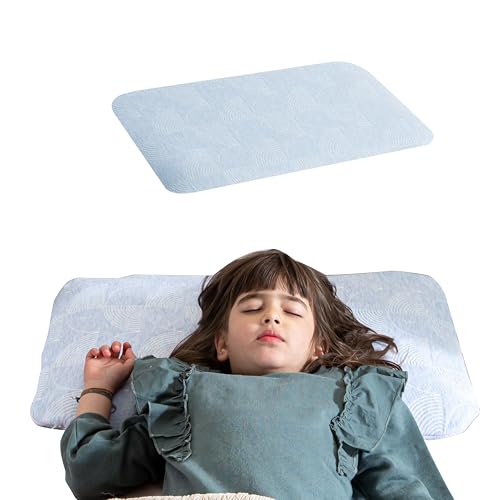 Image of The White Willow Soft Memory Foam Pillow for Kids - Slim Design for Ages 1-5, Lightweight & Breathable with Sky Blue Cover
