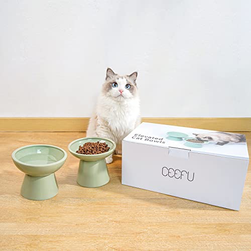CEEFU 2 Elevated Ceramic Cat Bowls Extra Wide for Food & Water – Whisker Fatigue Shallow Food Dish, Lead & Cadmium-Free, Raised Height for Cats, Sage Green by CEEFU - Image 7