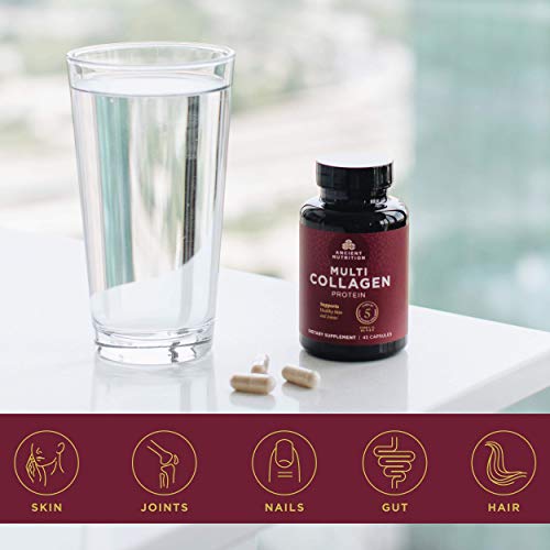 Ancient Nutrition Multi Collagen Capsules And Sbo Probiotics Ultimate Bundle #TOP6