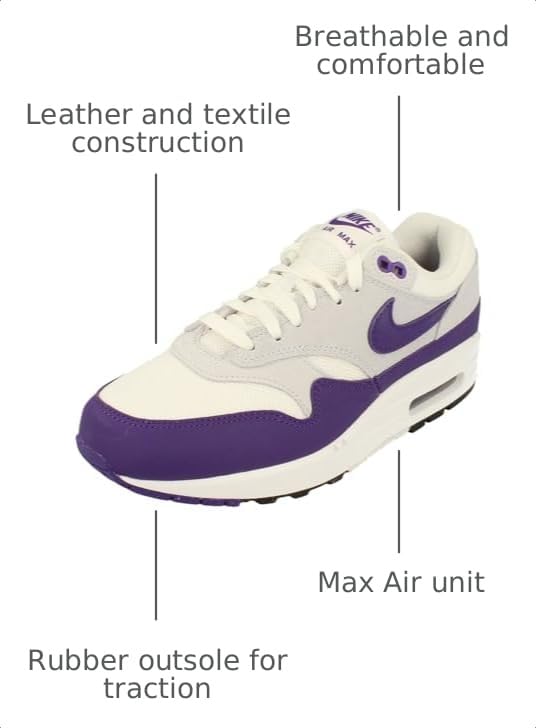 Image of Nike Air Max 1 Sc Mens Shoes