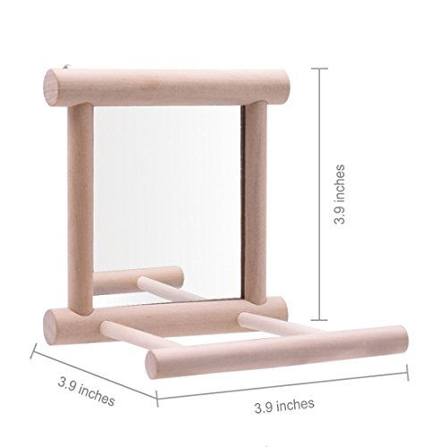 Hanze Bird Mirror With Swing Hummingbird Swing Bird Perches For Parrots Stand Wooden Swing Toy For Macaws Lovebird Cockatoo Parakeet Conure Finch Cockatiels #TOP4