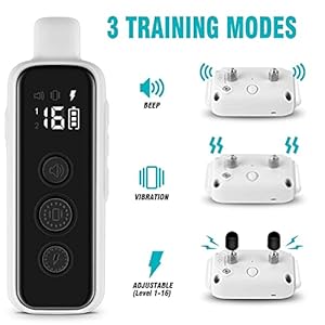 Bousnic Shock Collar for Dogs Waterproof Rechargeable Dog Electric Training Collar with Remote for Small Medium Large Dogs with Beep Vibration Safe Shock Modes 8 120 Lbs Grey