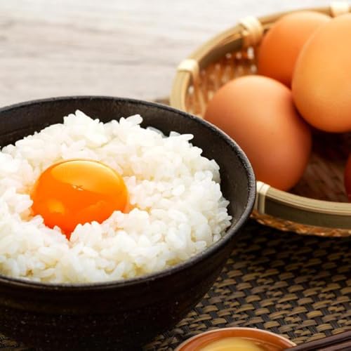 [定期便]3か月定期便 おいし高原 庭さき卵 Lサイズ 20個入り[全3回お届け]