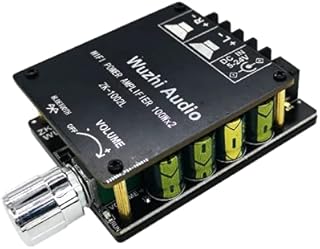 DollaTek Mini HIFI Power Amplifier Board bluetooth 5.0 High Power 100W 2.0 Dual-channel Stereo Sound Module