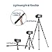 Fotopro Carbon Fiber Mini Tripod, Lightweight Compact Travel Tripod with 360 Degree Ball Head, QR Plate for Camera Camcorder Mini Tripods P-2 (P-2+P-2H)