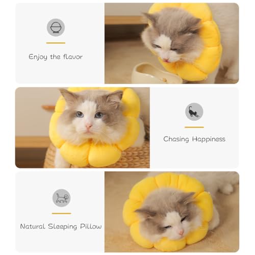 Wishstar Halskrause Katze Größen S, Leckschutz Katze, Weich Halskragen für Katzen Kleiner Hunde Nach Operation, Elisabethanischer Kragen, Sonnenblume Halskrause