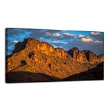 CHAUSSUREBAR Large Canvas Wall Art Cougar Superstition Mountains Central Arizona America Canvas Art Prints Pictures Wall Decor Living Room Wall Paintings for Bedroom Bathroom 20' x 40'