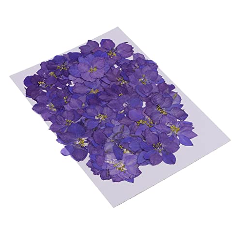50 flores secas reales de delphinium para manualidades miniatura 1