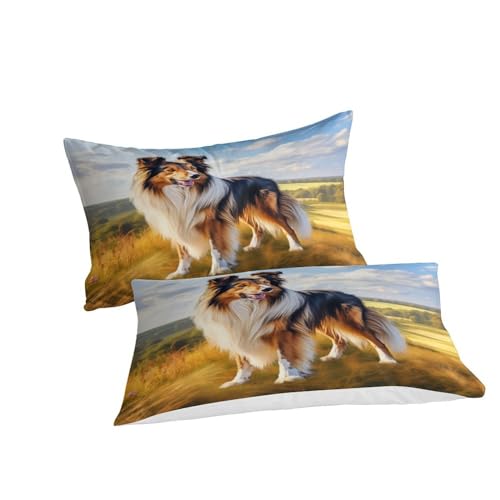 Housse de couette 200x200 Sheltie anti-plis et facile à laver - 5
