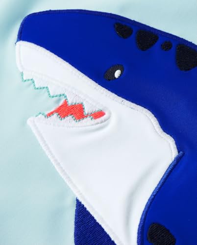 Image of Gymboree Baby-Boys and Toddler Long Sleeve Rashguard