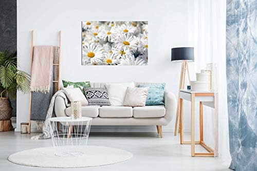 Daisys Daisy Canvas Wall Art Picture Print (36x24in)