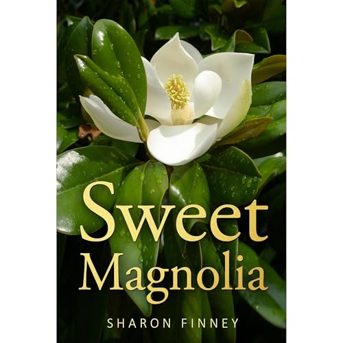 Sweet Magnolia