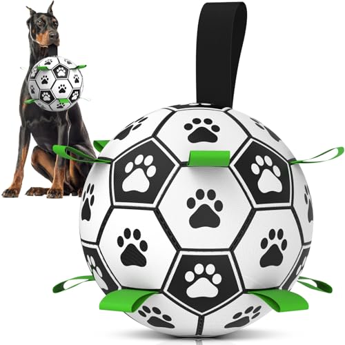 HETOO Hundespielzeug, Hundeball mit Nylon Seil, Premium Hundefußball Spielzeug für Mittlere Große Hunde Indoor & Outdoor Unterhaltung (10 Zoll)