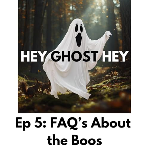 FAQ's About the Boos